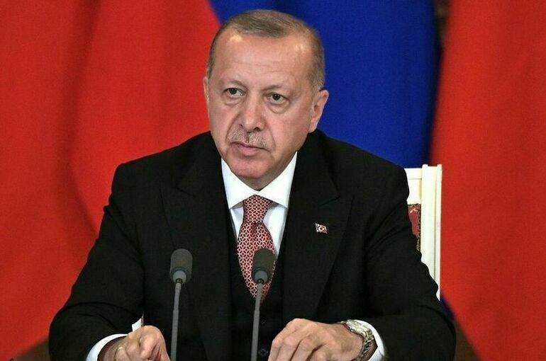 Эрдоган намерен обсудить с Путиным и Зеленским организацию гуманитарного коридора 