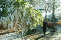 Жителям центральной части России рассказали о погоде во второй половине зимы