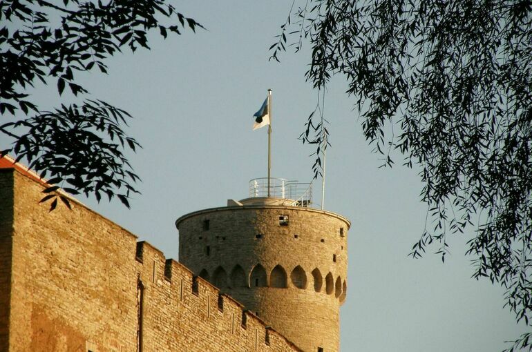 Посольство в Эстонии приостановило прием заявлений о выходе из гражданства