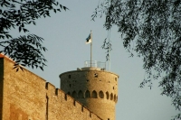 Посольство в Эстонии приостановило прием заявлений о выходе из гражданства