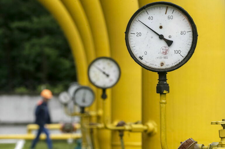 Штрахе считает, что в ФРГ боятся сказать правду о проблемах с газом