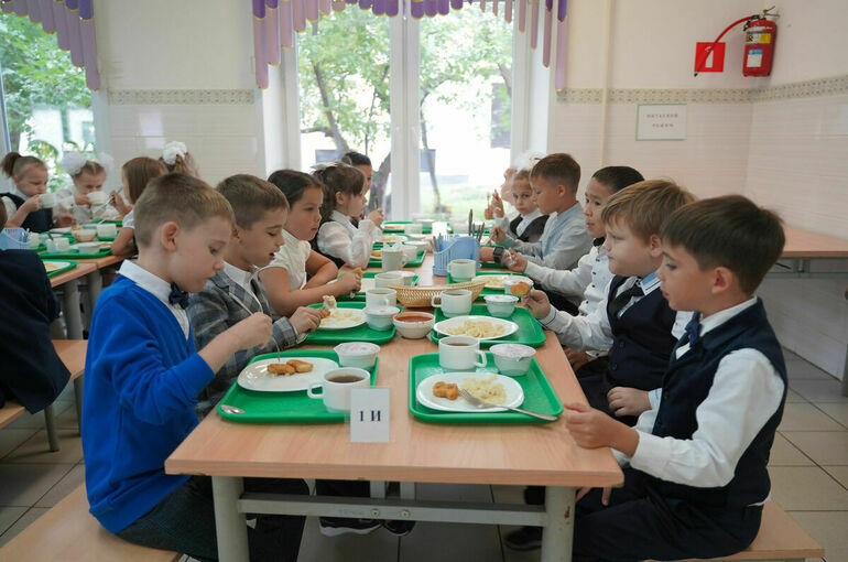 Сенатор Зленко указала на узкие места в организации горячего питания в школах