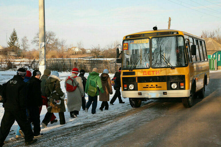 В комитете Совфеда поддержали бесплатную перевозку школьников по платным дорогам