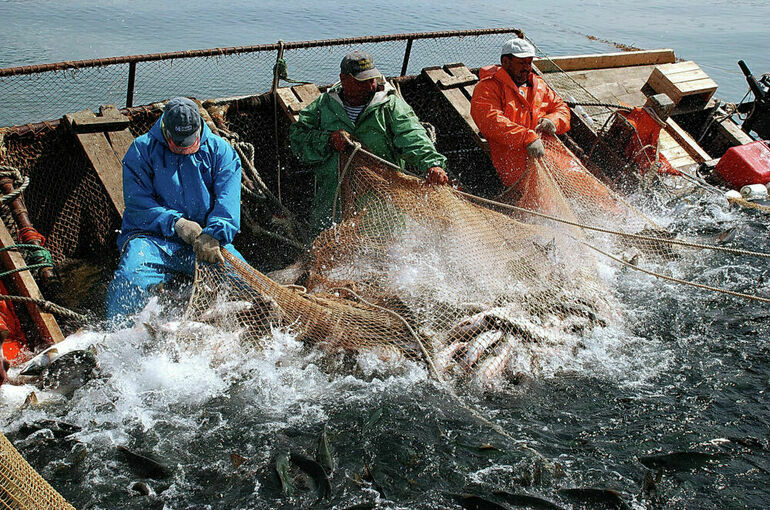 В Японии заявили о неприемлемости позиции России по рыбному промыслу у Курил