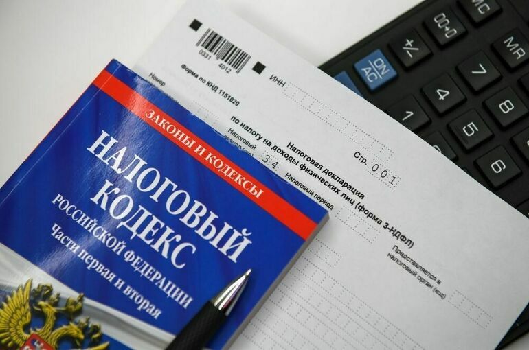 Комитет Совфеда поддержал закон об упрощении отчетности для депутатов