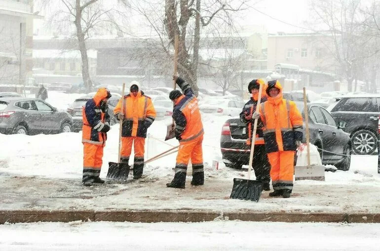 В рабочей группе при Комитете Госдумы назвали причину дефицита дворников