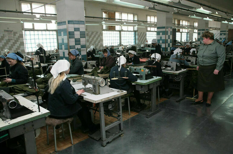 В Комитете Совфеда поддержали закон о пробации