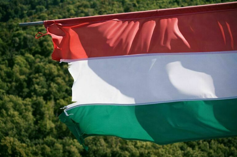 В Будапеште заявили, что на Украине ущемляют права закарпатских венгров