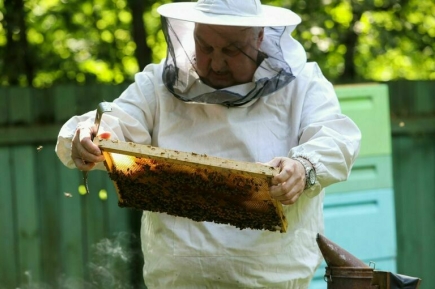 В Госдуме предложили дать льготы пчеловодам