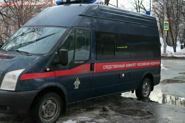 В Челябинской области фигурантами дела о драке в школе стали 4 человека 
