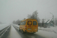 В комитете Совфеда поддержали бесплатный проезд школьных автобусов по платным дорогам