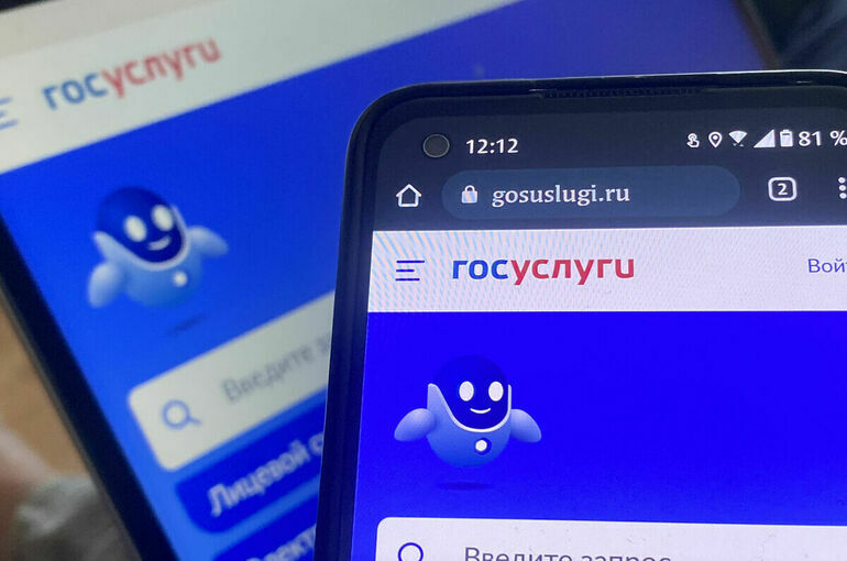 Милонов предложил ввести благотворительность через портал госуслуг