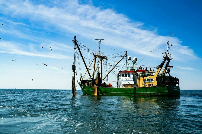 В России предложили снизить риски при строительстве рыбопромысловых судов