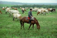 Границы территории опережающего развития «Бурятия» расширили