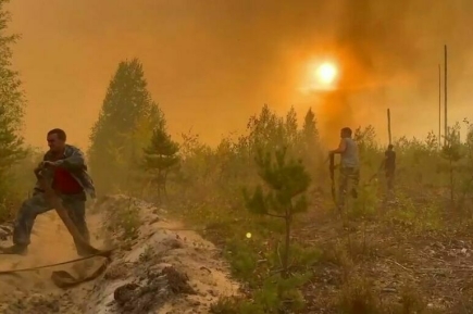 В России 16 человек погибли из-за природных пожаров в 2022 году