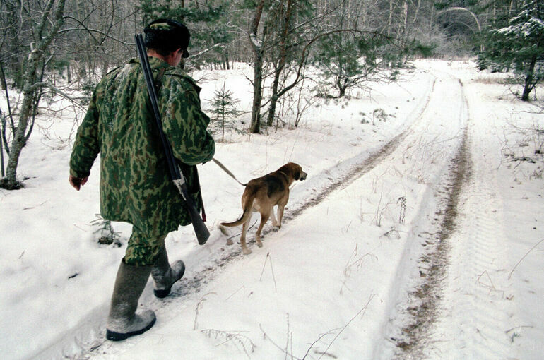 Комитет Совфеда поддержал усиление ответственности для охотников