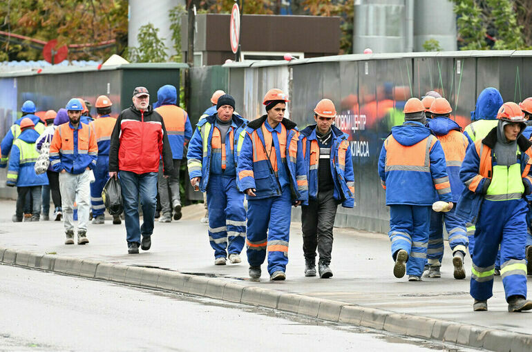 В России к июлю представят комплексные предложения по миграционной политике