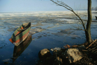 Среди провалившихся под лед в Ярославской области был участник группы Cream Soda