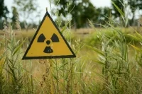 В Британии решили передать Киеву боеприпасы с обедненным ураном