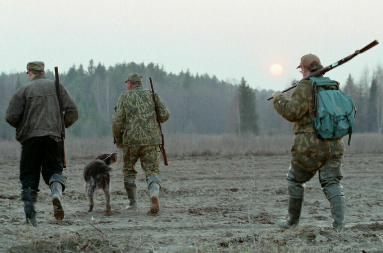Недобросовестным охотхозяйственникам запретят участвовать в аукционах
