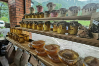 В Минпромторге сообщили, что Росстандарт может разработать ГОСТ на мед