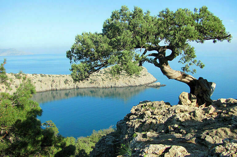 Петр прорубил окно в Северную Европу, а Екатерина открыла дверь в Южную