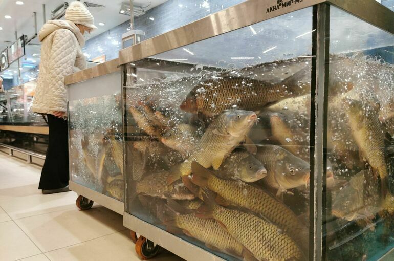 В Совфеде предложили создать рабочую группу по ценообразованию на рыбу