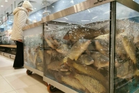 В Совфеде предложили создать рабочую группу по ценообразованию на рыбу