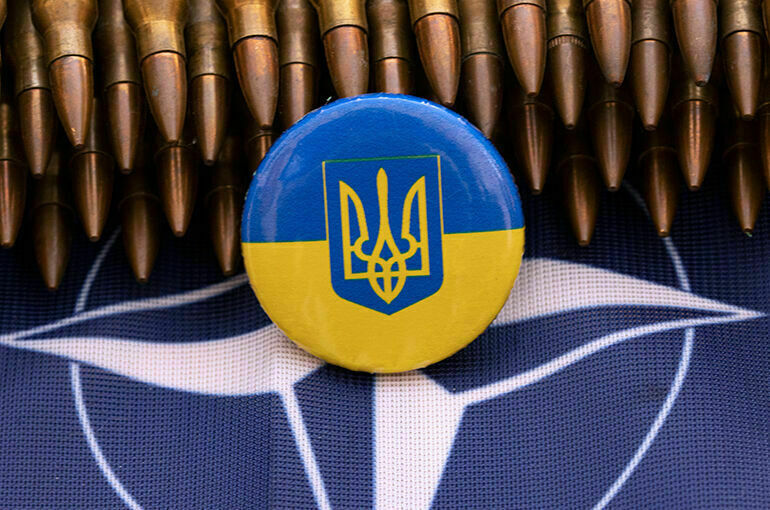 Вышинский рассказал о быстром способе Украины попасть в НАТО