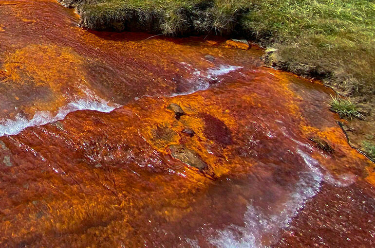 Жители Белгородской области жалуются на покрасневшие водоемы