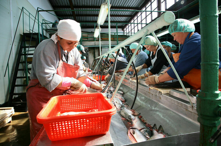 Законопроект об онлайн-аукционах на вылов рыбы вернули во II чтение
