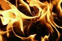 Пожары в поселках Сосьва и Таежный Свердловской области локализованы
