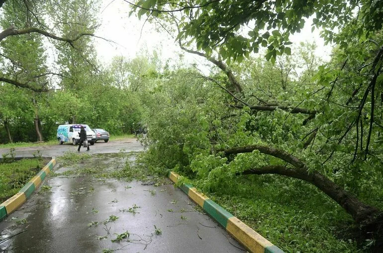 В Москве ввели «желтый» уровень погодной опасности