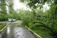 В Москве ввели «желтый» уровень погодной опасности