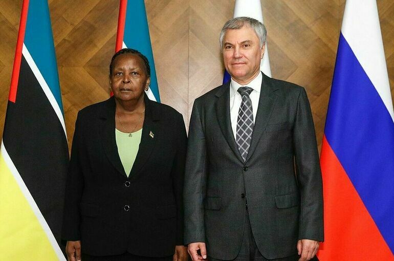 Володин призвал развивать экономические связи и туризм с Мозамбиком