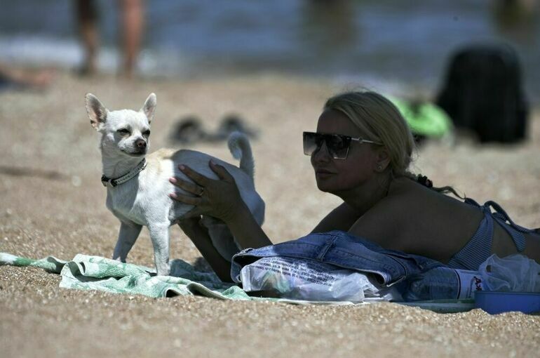 В Москве с собакой на пляж можно, в Крыму — нет