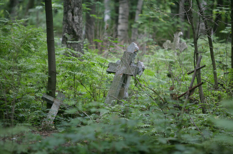 Митрополит Марк заявил, что Киев хочет полностью уничтожить УПЦ
