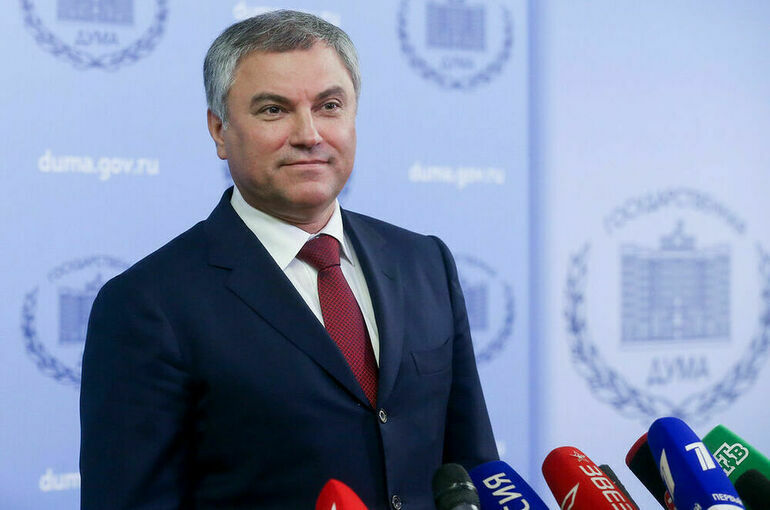 Володин: Взысканные с уклоняющихся от уплаты налогов средства должны идти на решение проблем