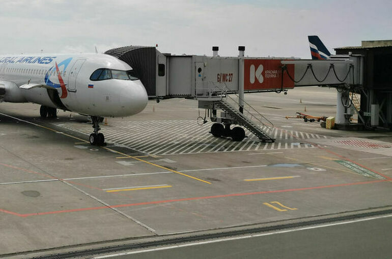 Летевший из Стамбула в Москву самолет вынужденно сел в Сочи