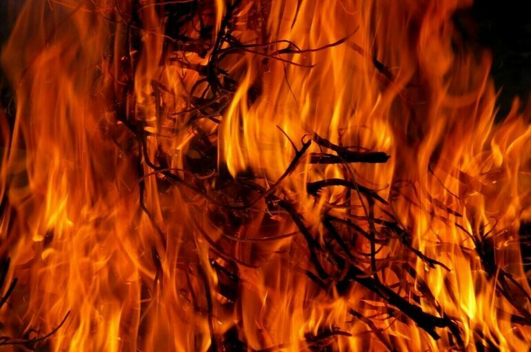 В России за сутки потушили почти 100 природных пожаров
