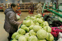 В России продолжают расти цены на капусту и лук