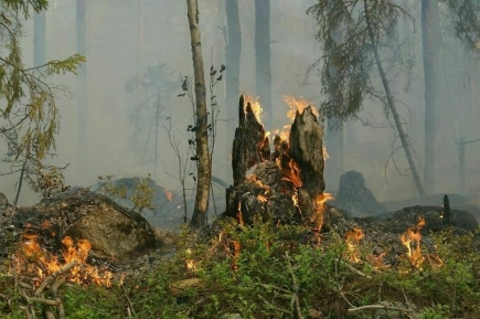 В Тюменской области зафиксировали 16 пожаров