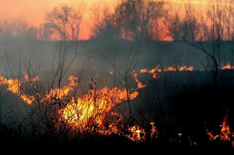 В Курганской области эвакуируют несколько сел из-за лесных пожаров