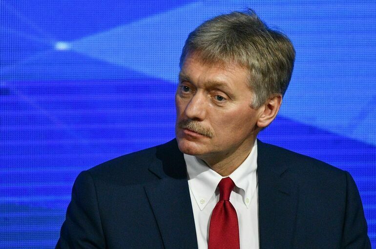 Песков назвал возобновление полетов в Грузию гуманитарным решением