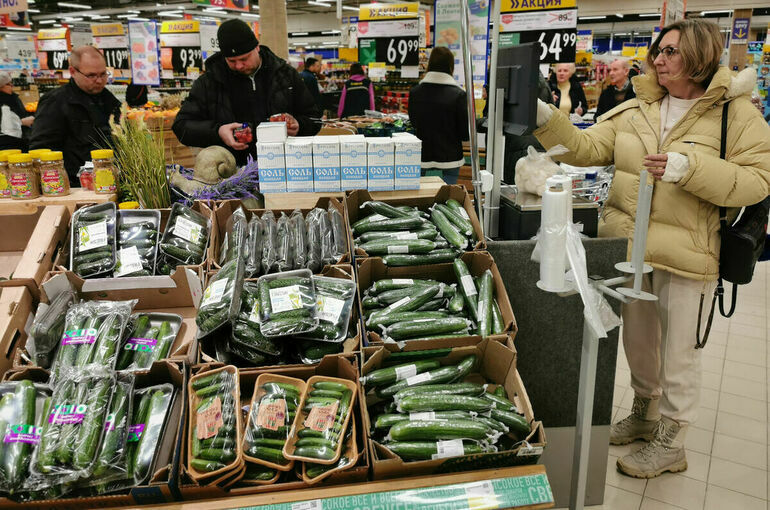 Огурцы в России за неделю подешевели более чем на 10%
