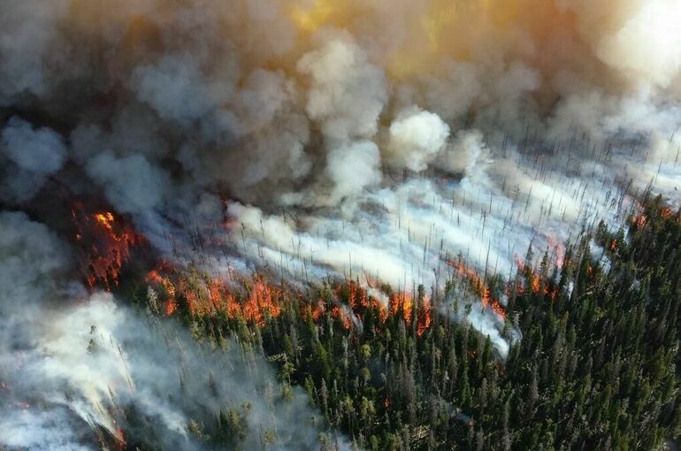 В Хабаровском крае из-за лесных пожаров введен режим ЧС