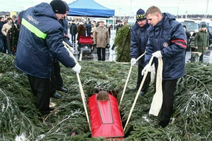 В Гатчине нашли захоронения граждан времен Великой Отечественной войны