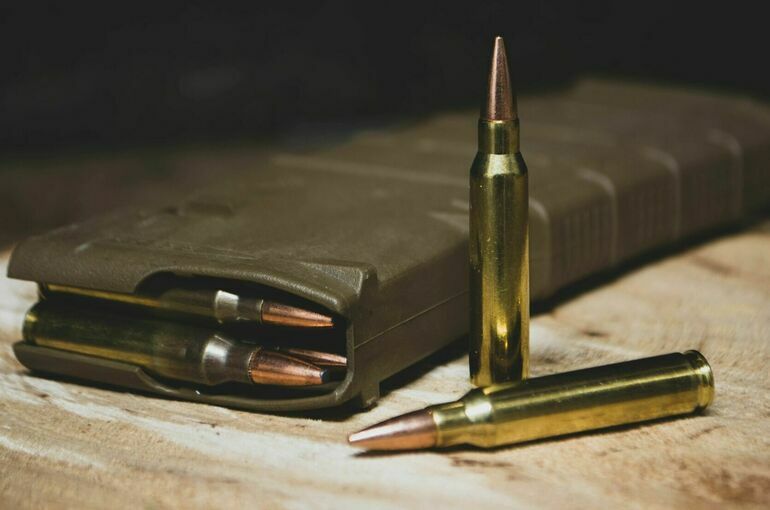 Поправки об обороте оружия в новых регионах рекомендовали ко II чтению