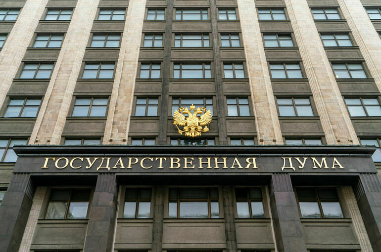Госдума приняла поправки о задержании за нарушение запретов в зоне военного положения