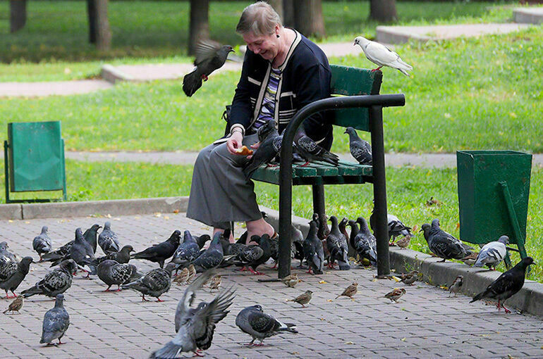 Вирусолог заявил, что птичий грипп может стать опаснее COVID-19